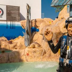 Apartamentos Els Llorers - Camping Gérone