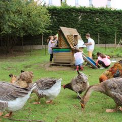 Village L'Ecrin Normand - Camping Seine-Maritime