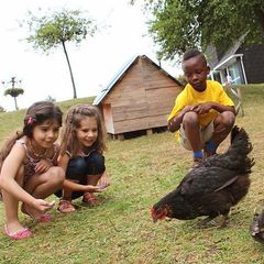 Village L'Ecrin Normand - Camping Seine-Maritime