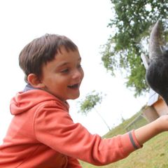 Village L'Ecrin Normand - Camping Seine-Maritime