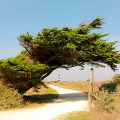 Résidence Les Sables Vignier  - Camping Charente-Maritime