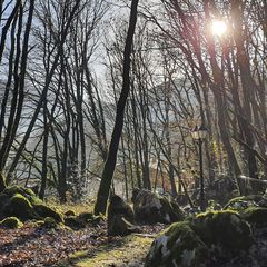 Camping Ramales - Camping Cantabria