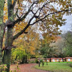 Camping Ramales - Camping Cantabria