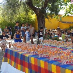 Le Domaine de l'Olivaie - Camping Alpes-Maritimes