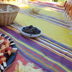 Le Domaine de l'Olivaie - Camping Alpes-Maritimes