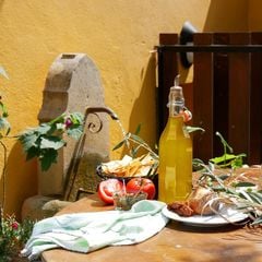 Le Domaine de l'Olivaie - Camping Alpes-Maritimes