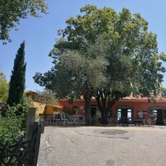 Le Domaine de l'Olivaie - Camping Alpes-Maritimes