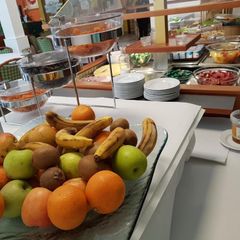 Le Domaine de l'Olivaie - Camping Alpes-Maritimes