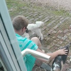 Camping Le Courtil Rose - Camping Pas-de-Calais