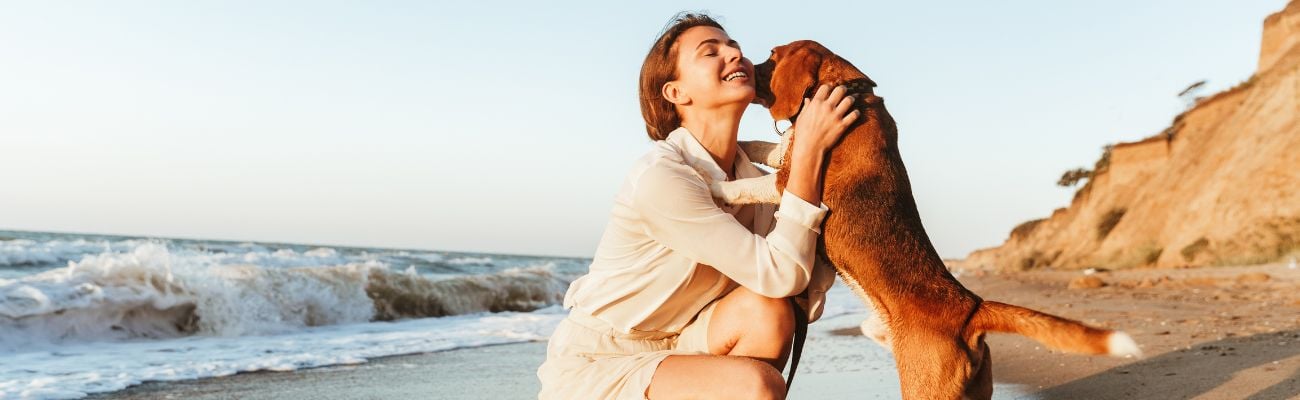 Nos campings avec animaux acceptés