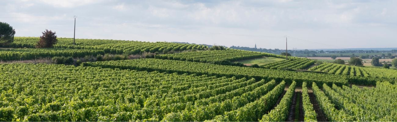 Campings à la campagne
