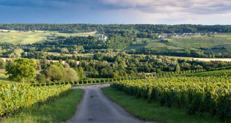 Campings en promos à la campagne