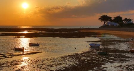 Campings île de Noirmoutier