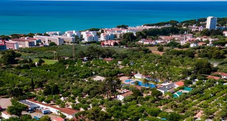 Beachfront Campsites