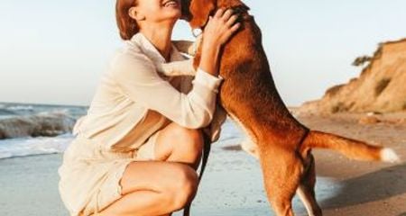 Dog-friendly campsites