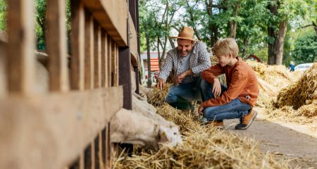 Campeggi con fattoria didattica