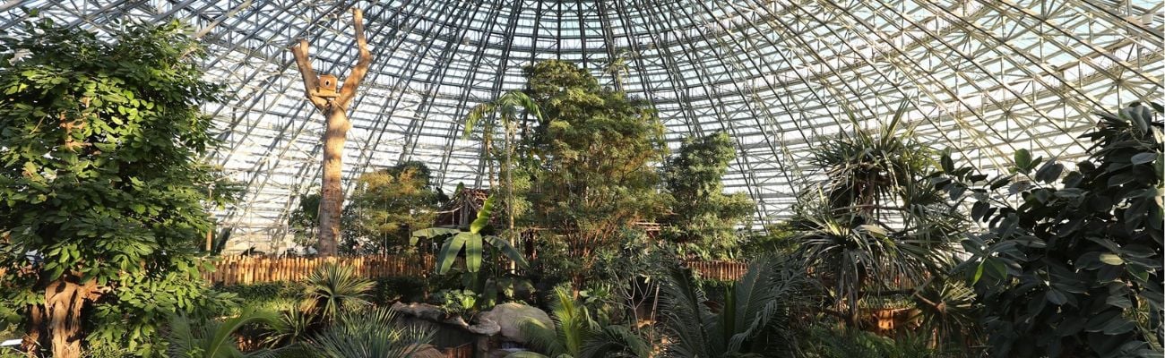 Camping zoo de beauval