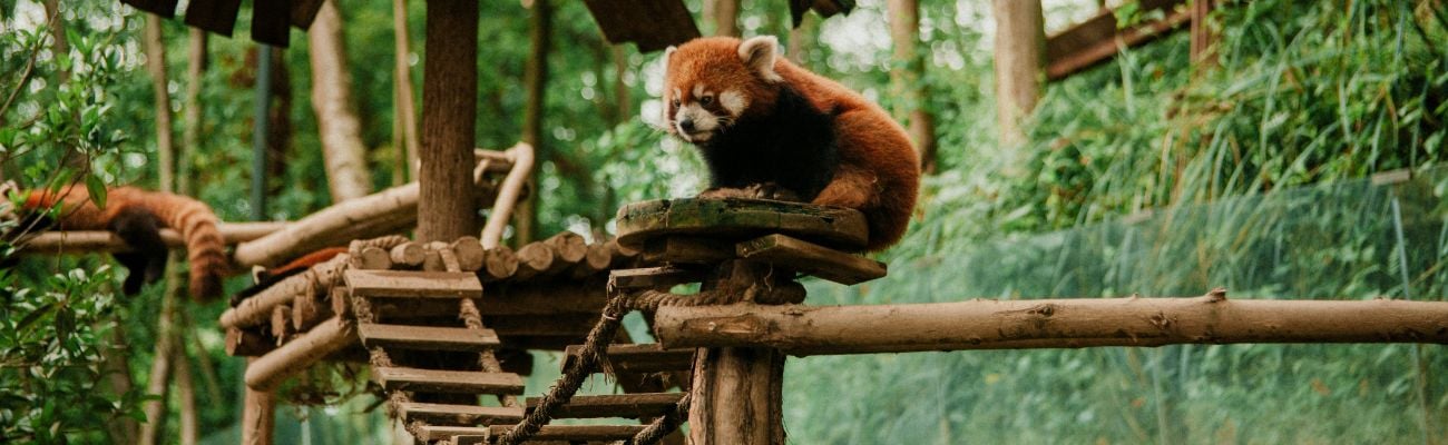 Camping Zoo de la Flèche
