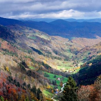 Vosges