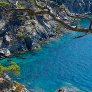 Île de Porquerolles