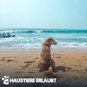 Haustiere erlaubt
