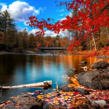 Partez cet automne 
