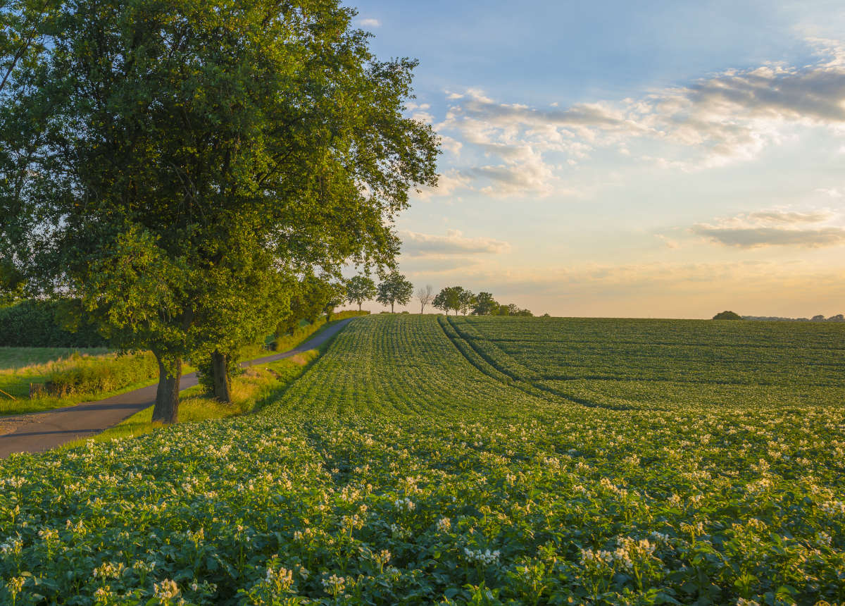 Kamperen in Limburg