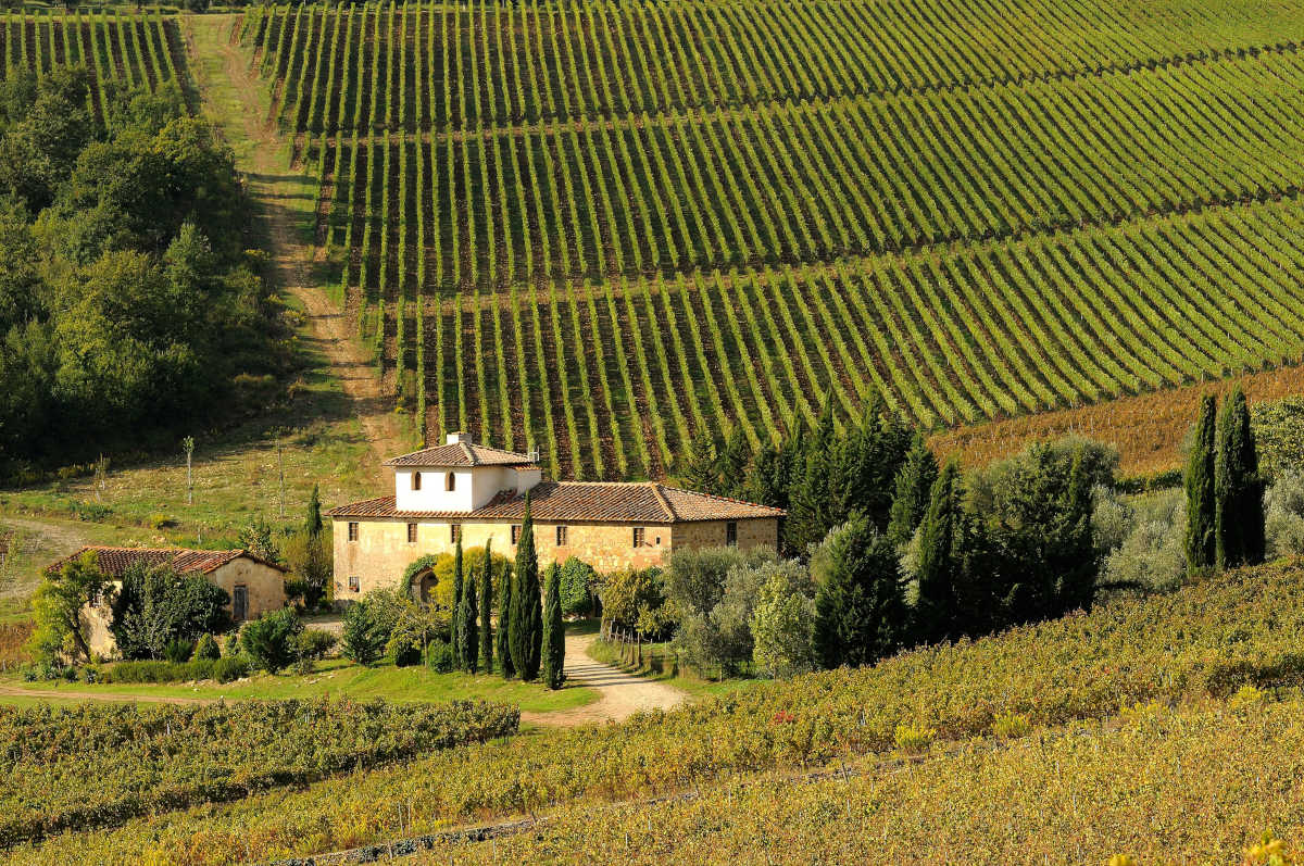 Toscane-wijngaard-Italie
