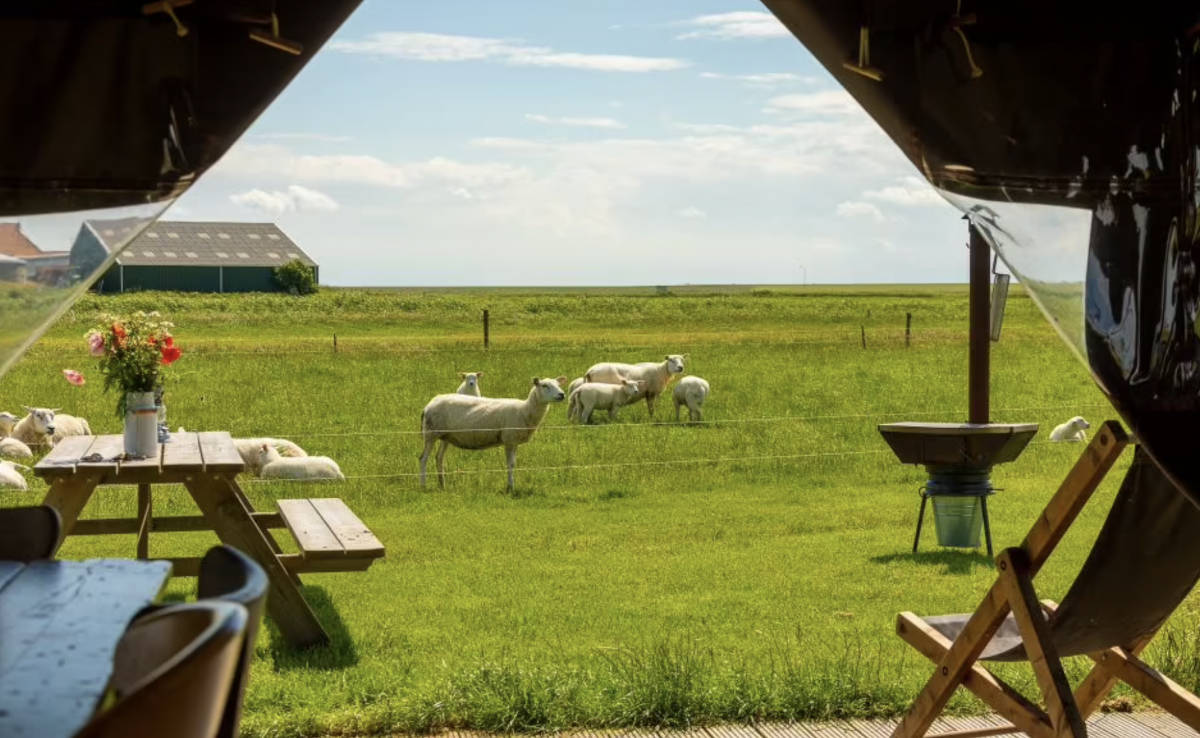 Boerderij-Ameland-Nederland