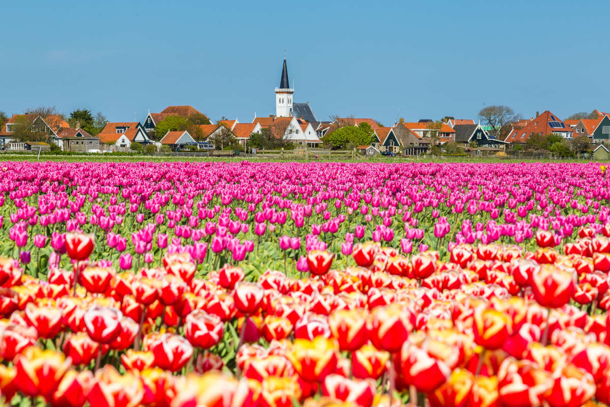 Texel-Den-Hoorn-Waddeneilanden-Nederland