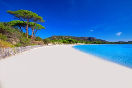 Palombaggia-Beach-Corsica-Frankrijk