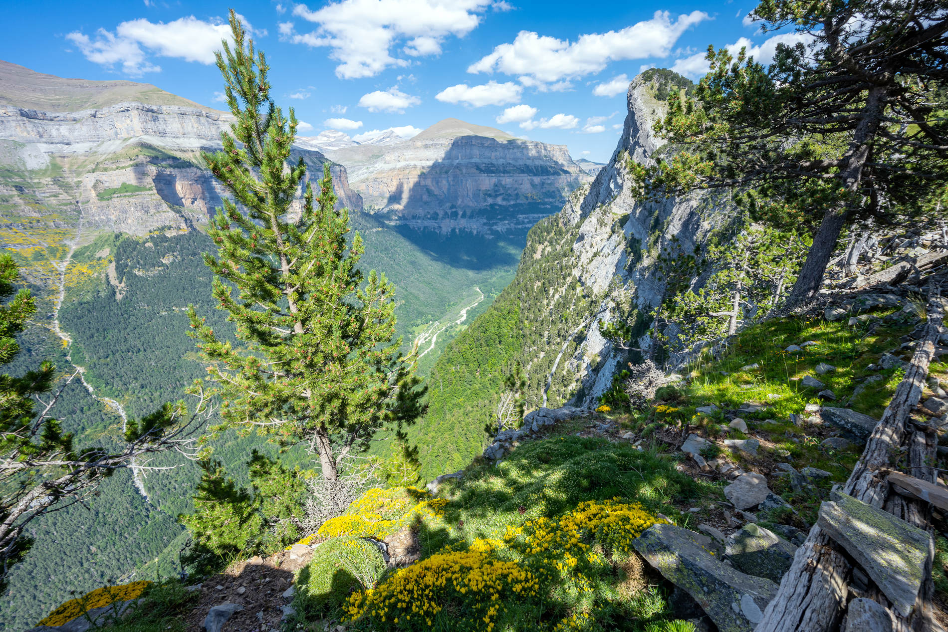 spanish-pyrenees-Ordesa-Valley-Spanje