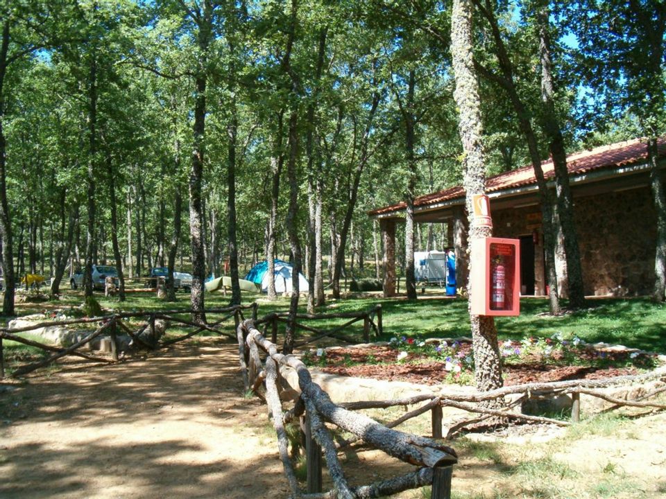 Camping Las Cavenes