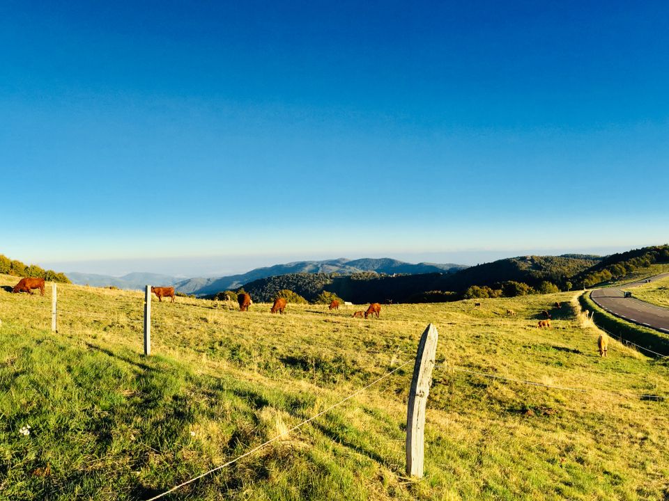 Camping L'Etang des Forges