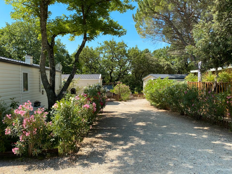 Campings in Vaucluse