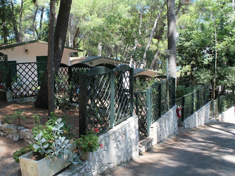 Camping Internazionale San Menaio