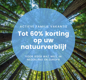 Ontdek de leukste accommodaties 💚