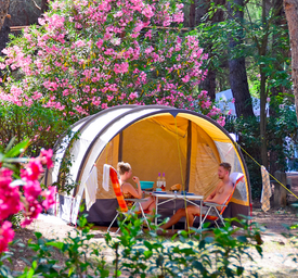 Staanplaatsen voor uw tent of caravan
