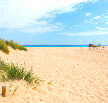 Cap en Occitanie !