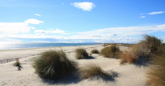 Campings en Camargue